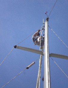 [Immagine: 20125161227_ATTR ALBERO 1.jpg]